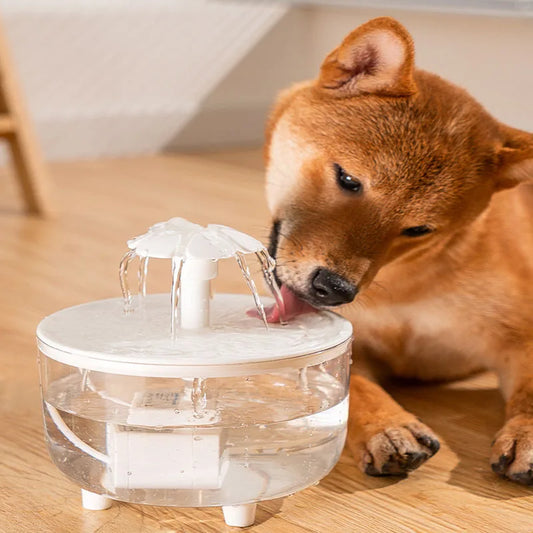 1,5L Haustier-Wasserbrunnen – Automatischer Filter, USB-betrieben, leise Trinkschale für Katzen und Hunde mit Zirkulationsfunktion!