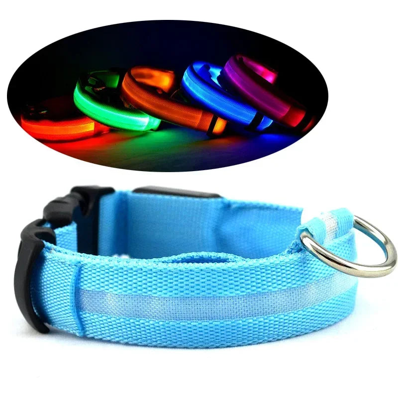 Nylon-LED-Hundehalsband: Leuchtendes, fluoreszierendes Nachtlicht für Haustiere