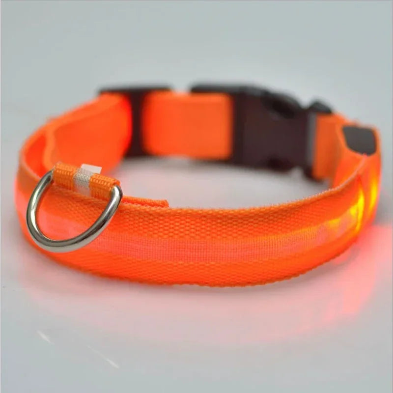 Nylon LED Dog Collar Light Night Flashing Glow In The Dark Luminous Fluorescent Pet Supplies Cat Collars