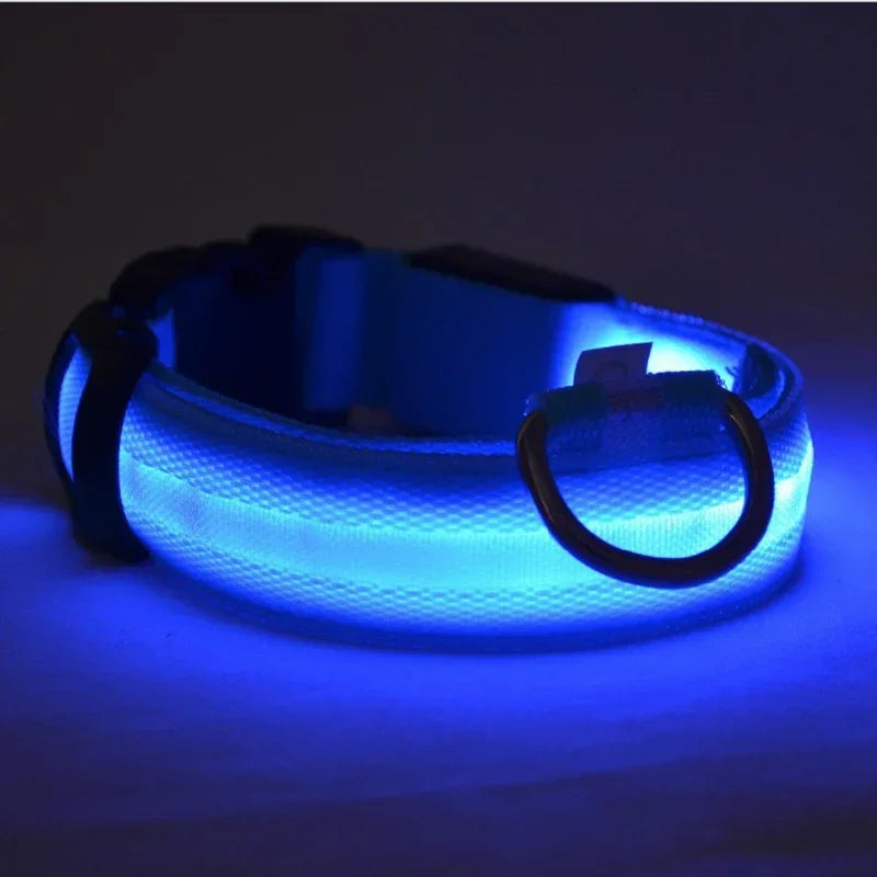 Nylon-LED-Hundehalsband: Leuchtendes, fluoreszierendes Nachtlicht für Haustiere